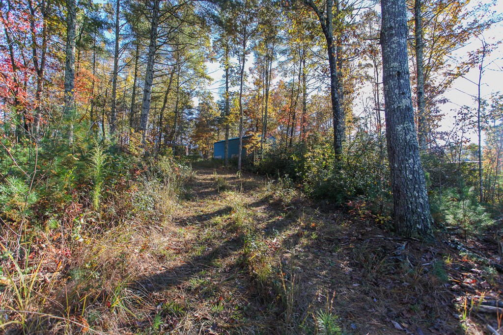 26/27 Bear Ridge Trail