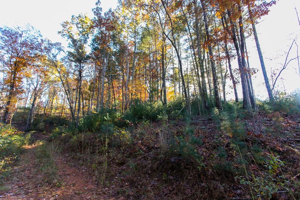 26/27 Bear Ridge Trail