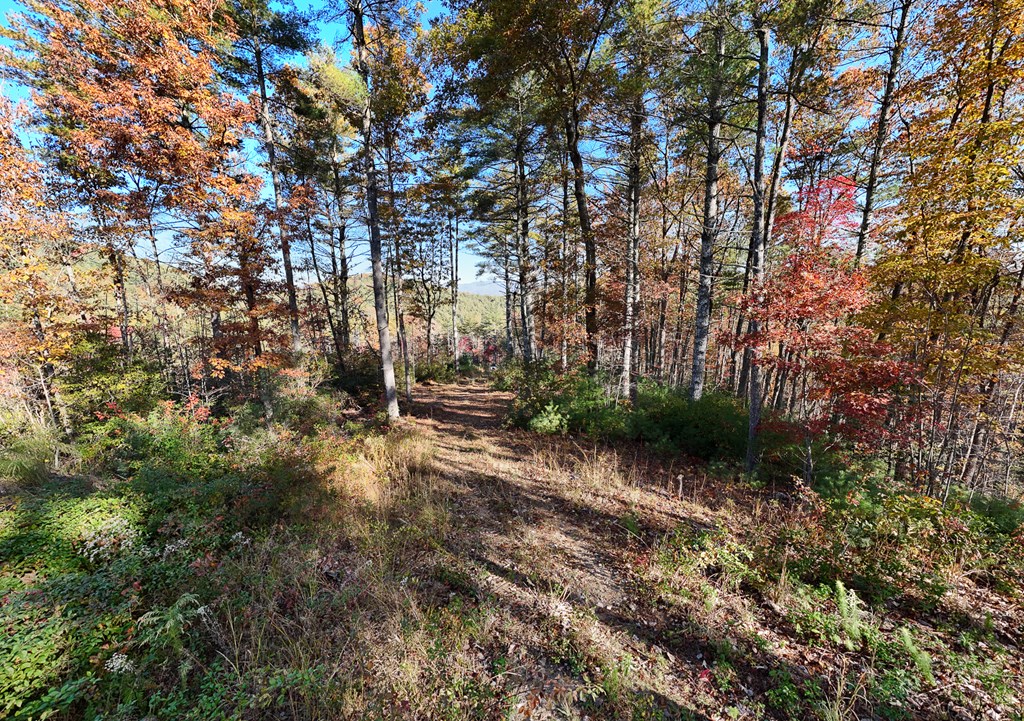 26/27 Bear Ridge Trail