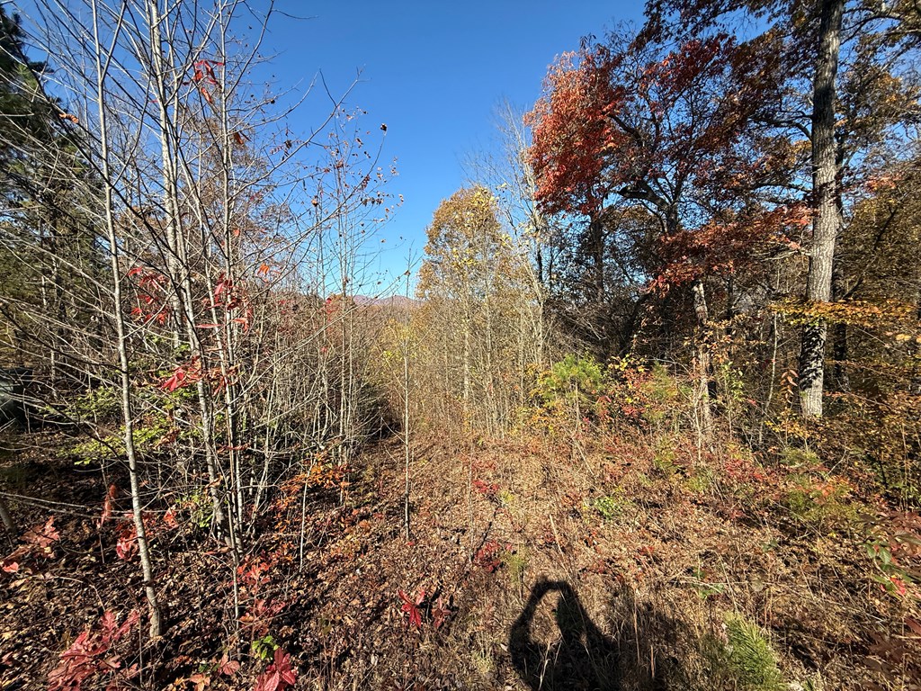 0 Summitt Ridge Trail