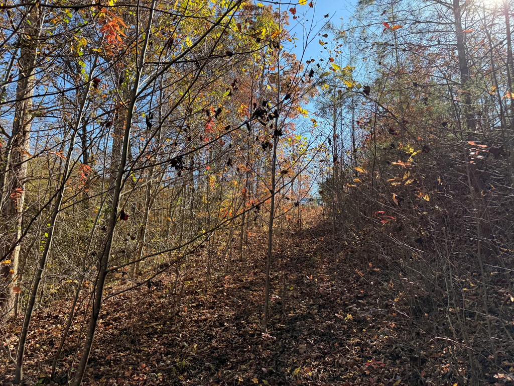 0 Summitt Ridge Trail