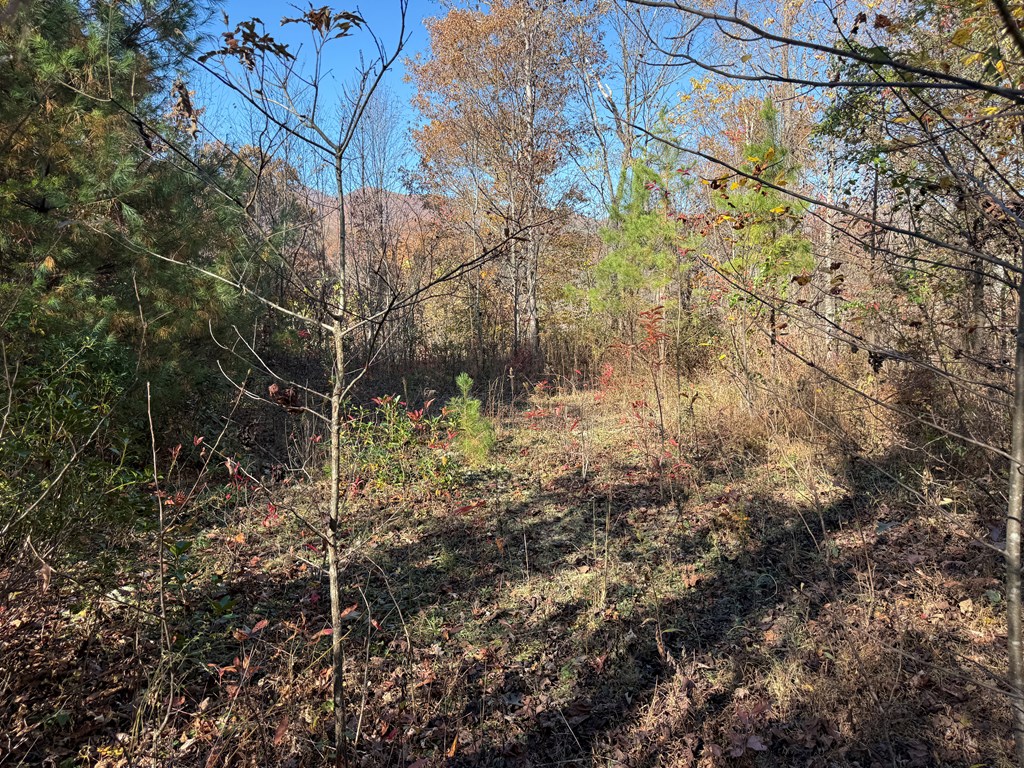 0 Summitt Ridge Trail