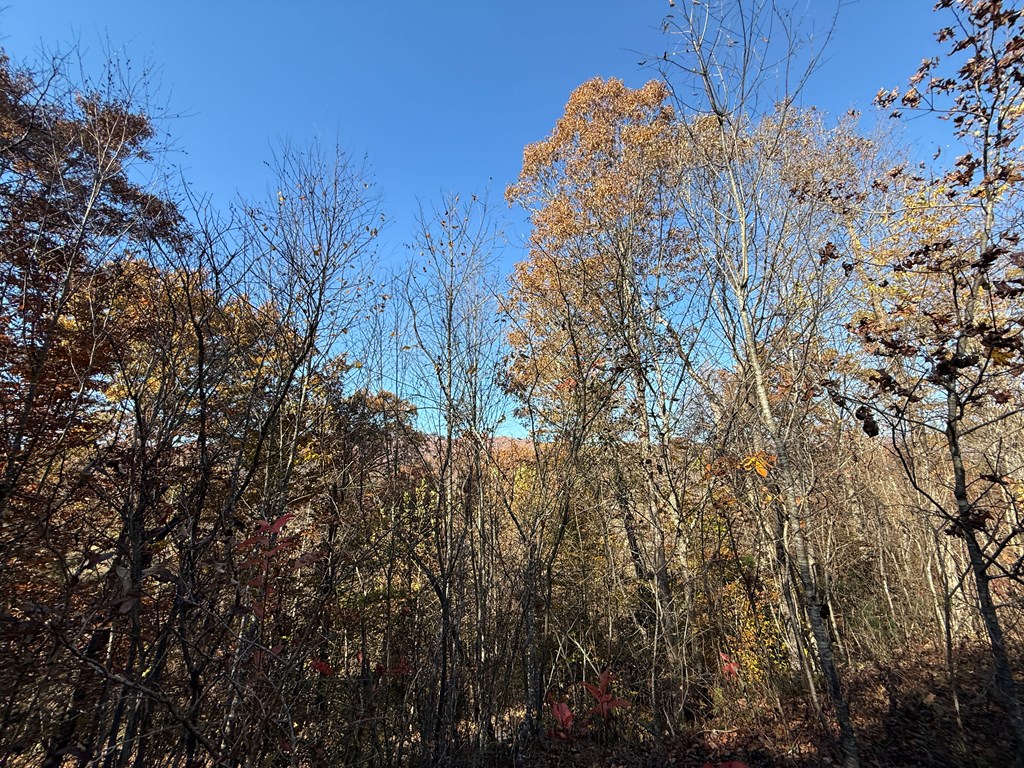 0 Summitt Ridge Trail