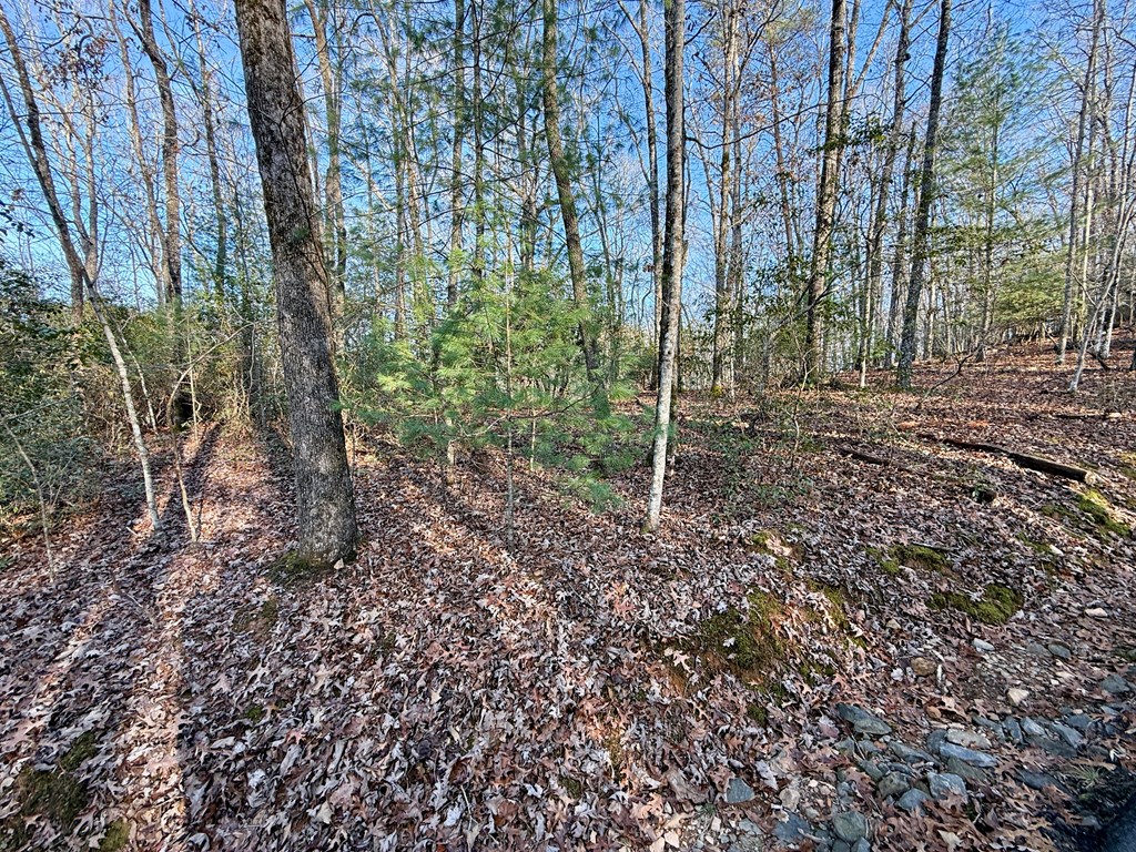 Lot 42 Panico Trail