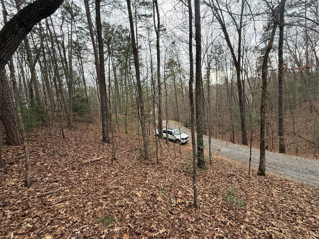 0 Kesrel Ridge Circle