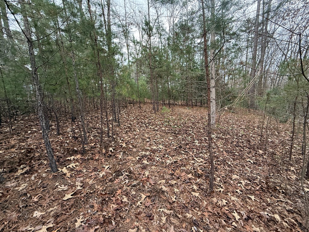 0 Kesrel Ridge Circle