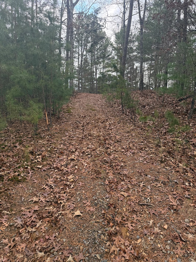 0 Kesrel Ridge Circle