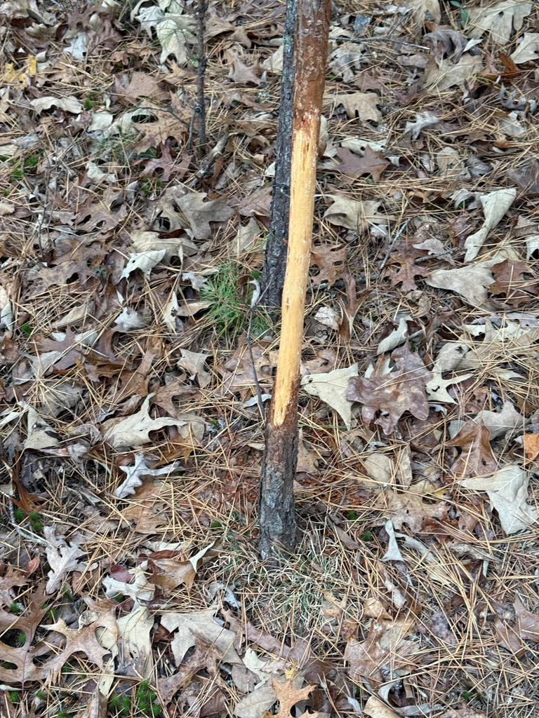 0 Kesrel Ridge Circle