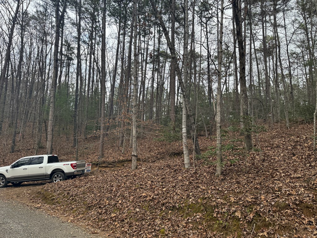 0 Kesrel Ridge Circle