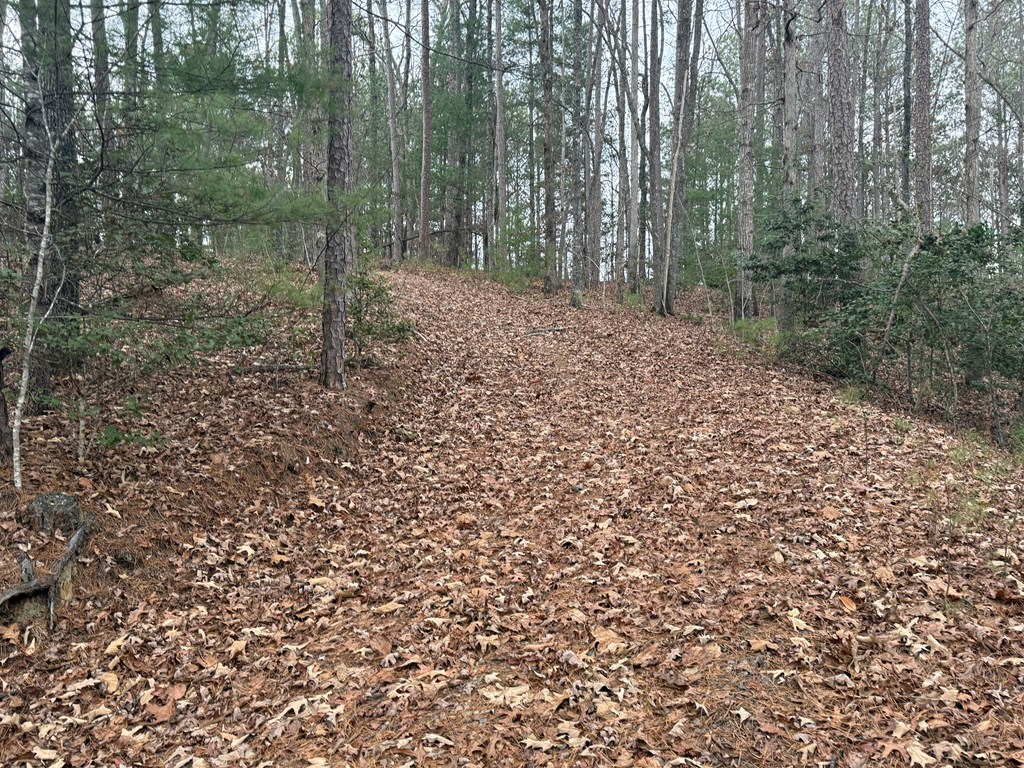 0 Kesrel Ridge Circle