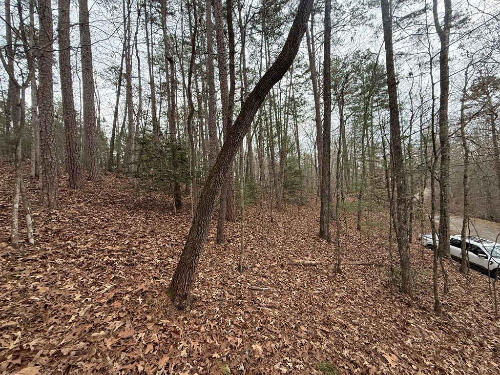 0 Kesrel Ridge Circle