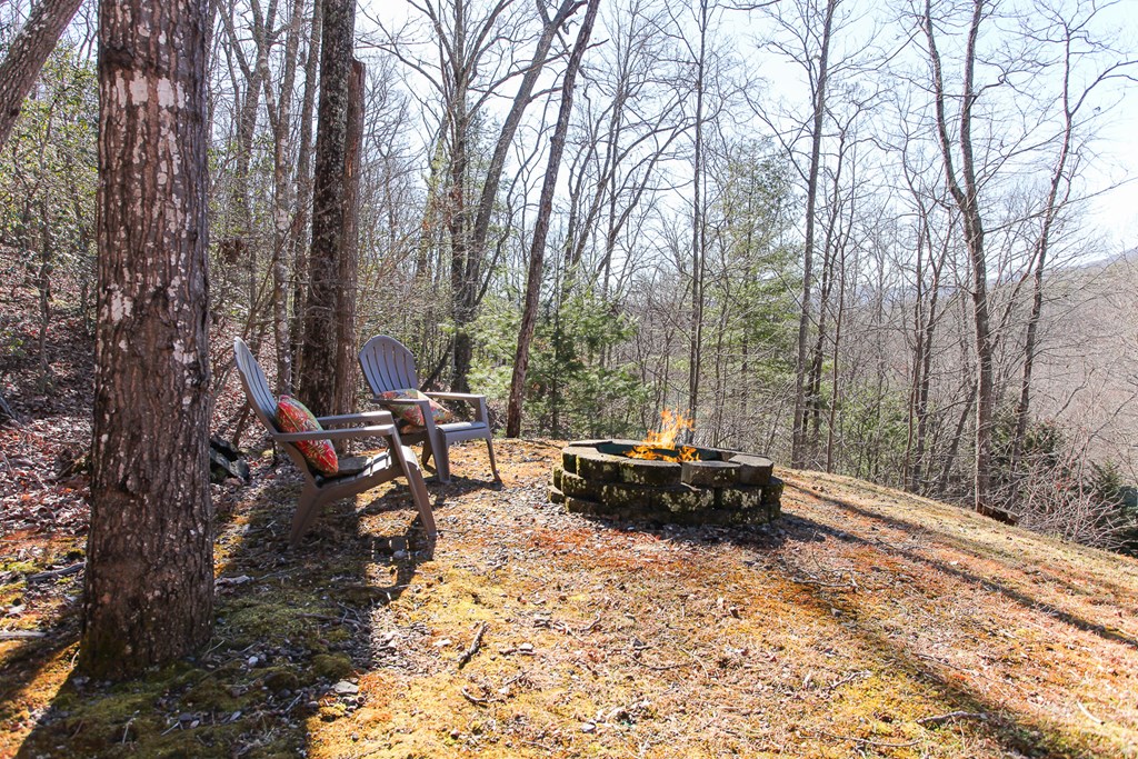 380 Bear Trail