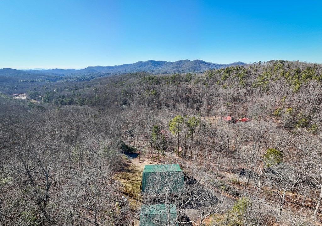 380 Bear Trail