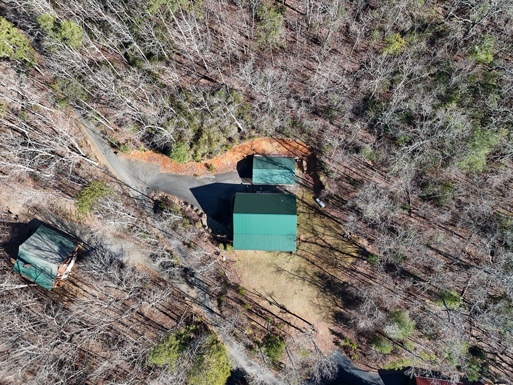 380 Bear Trail
