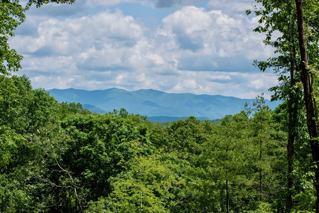 140 Hiwassee Creek Estates