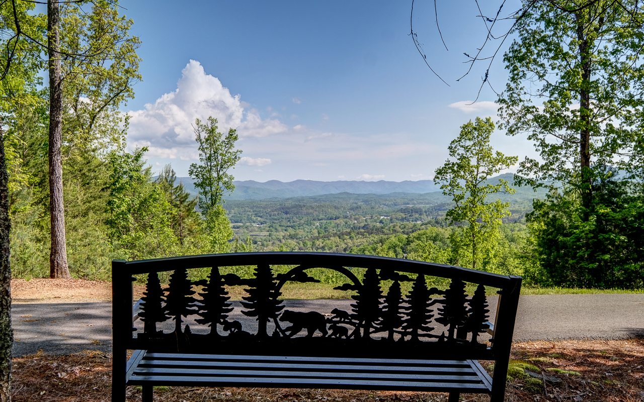 635 Brasstown View Road