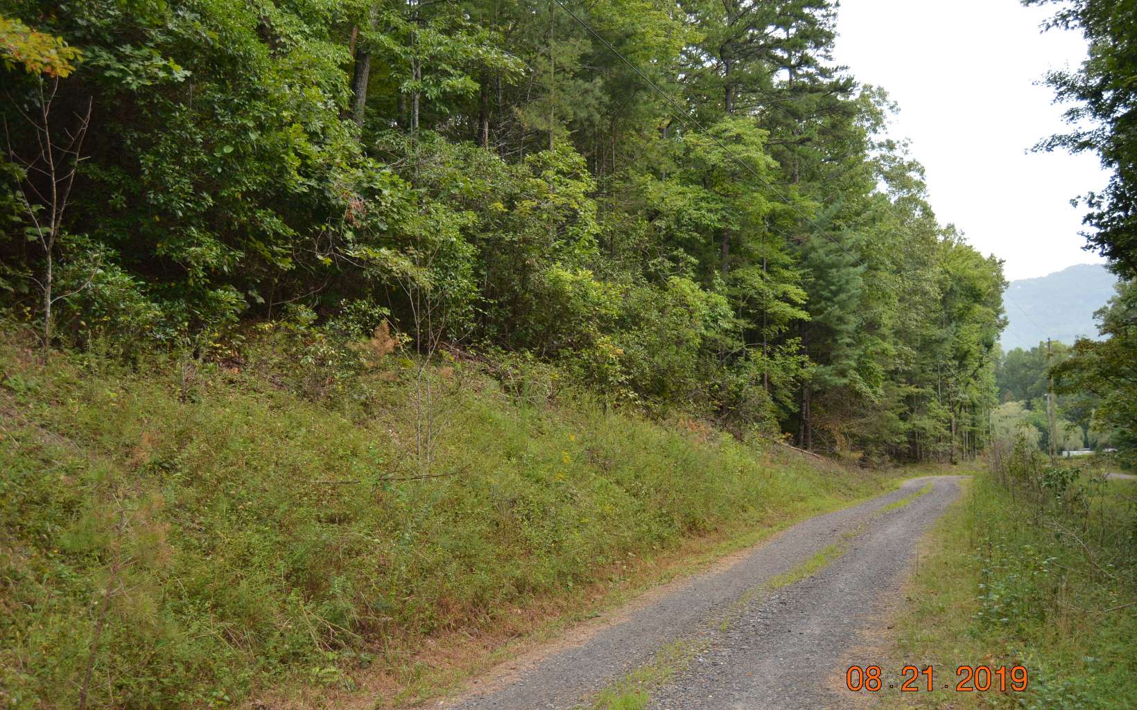 Cabin Run Lane