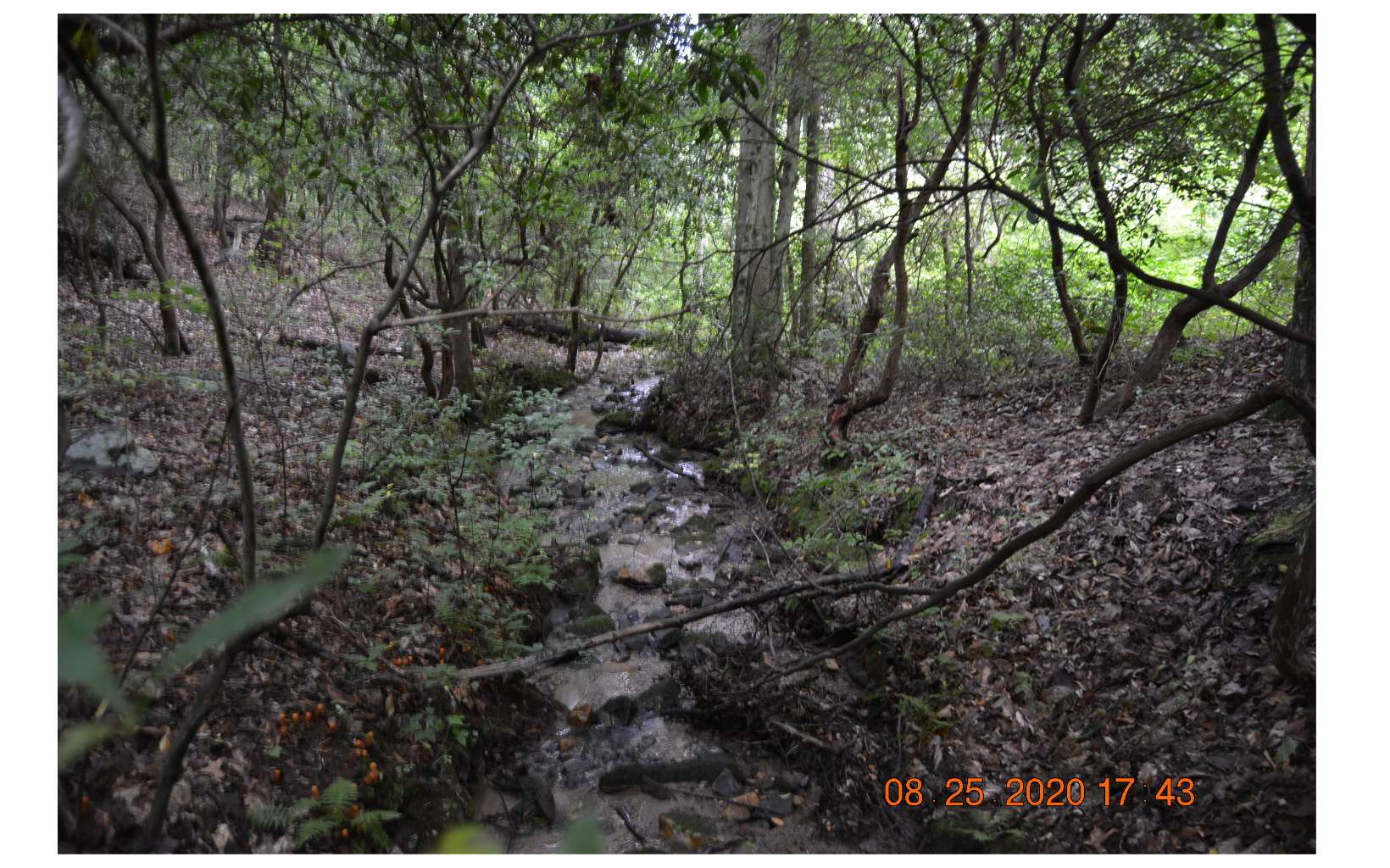 00 Scenic Vista Drive