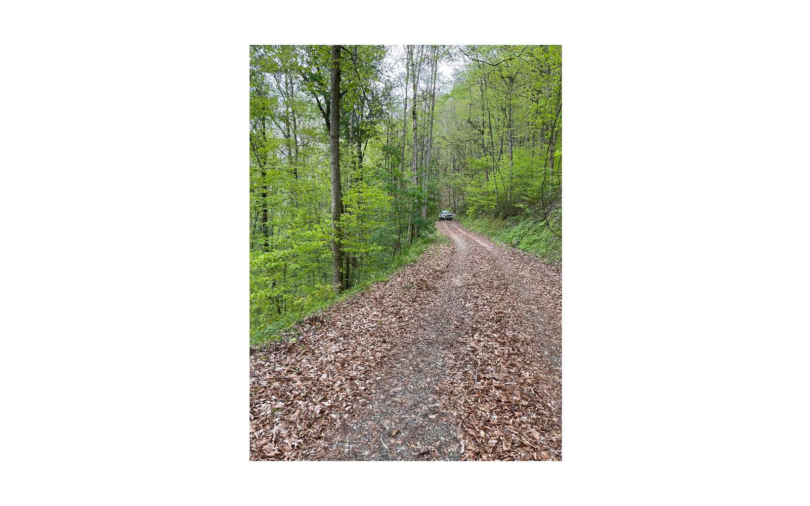 LT 41 Nantahala Shores Road