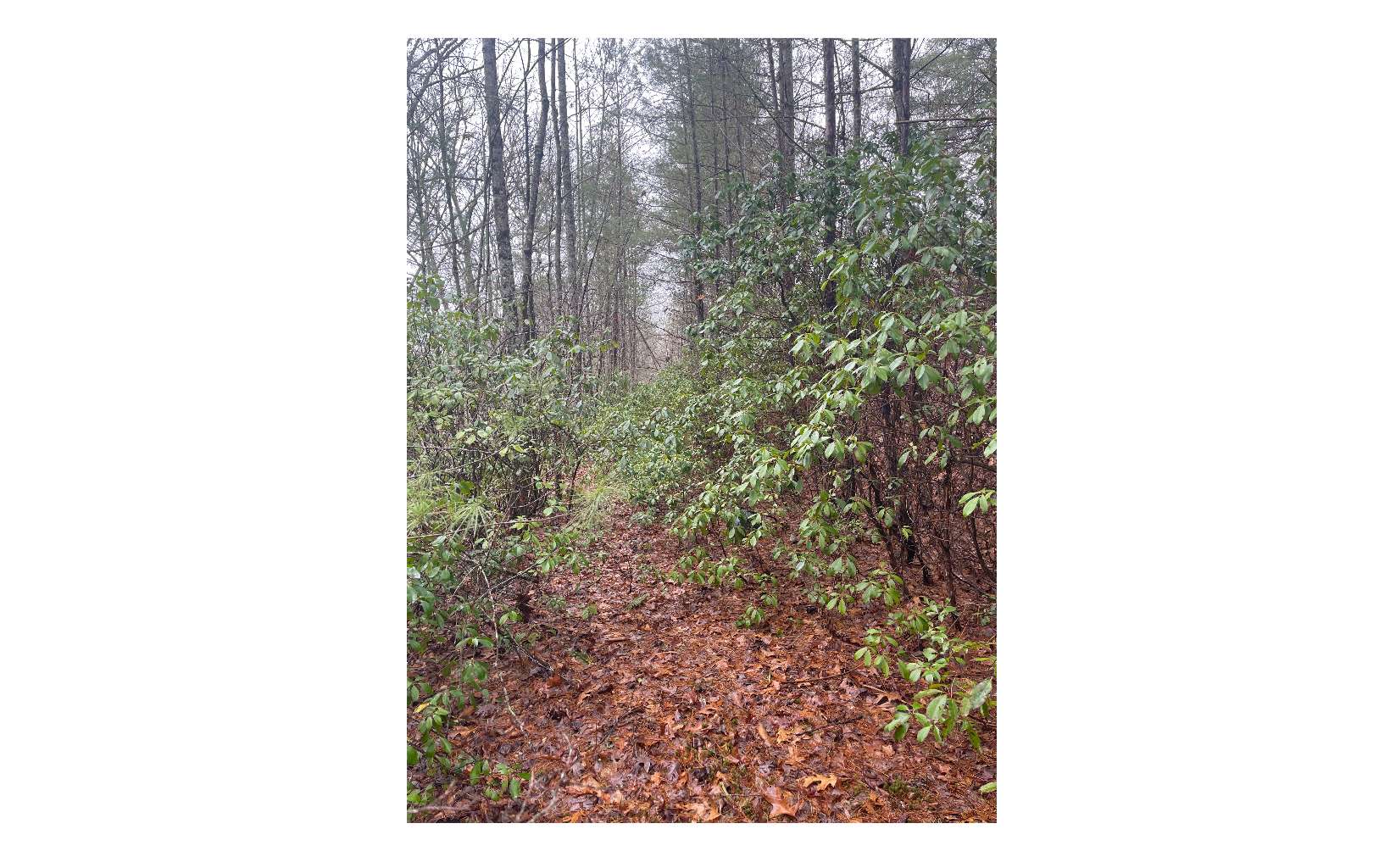 TR76B Mary King Mountain Drive