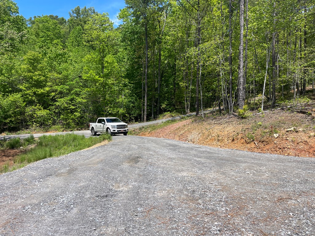 60 Lazy Creek Lane