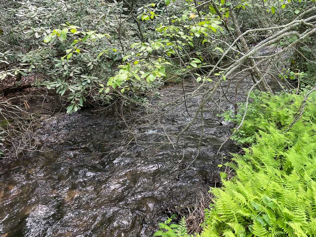 155 Cedar Cliff Lane