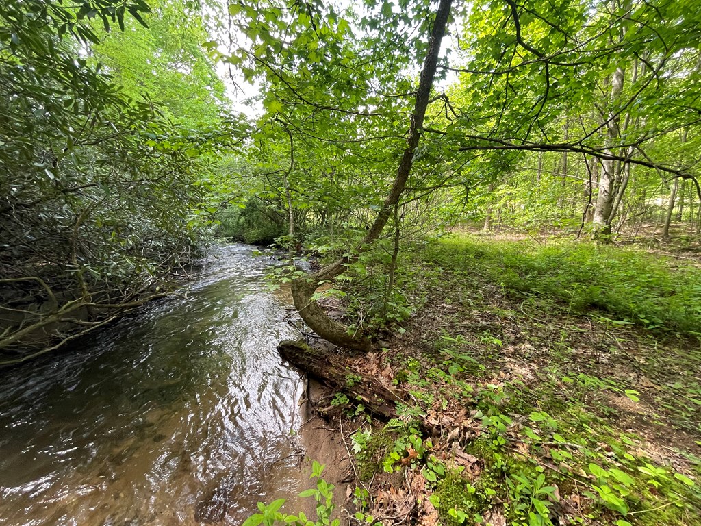 155 Cedar Cliff Lane