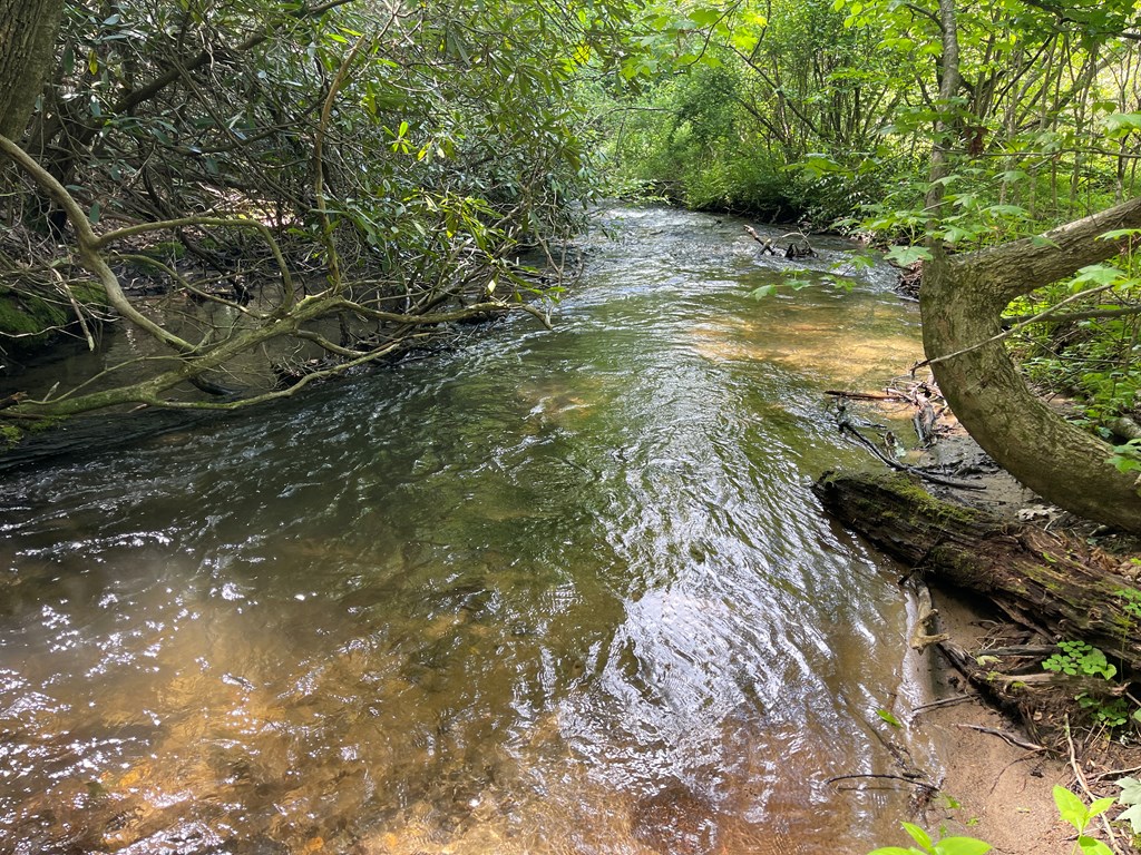 155 Cedar Cliff Lane