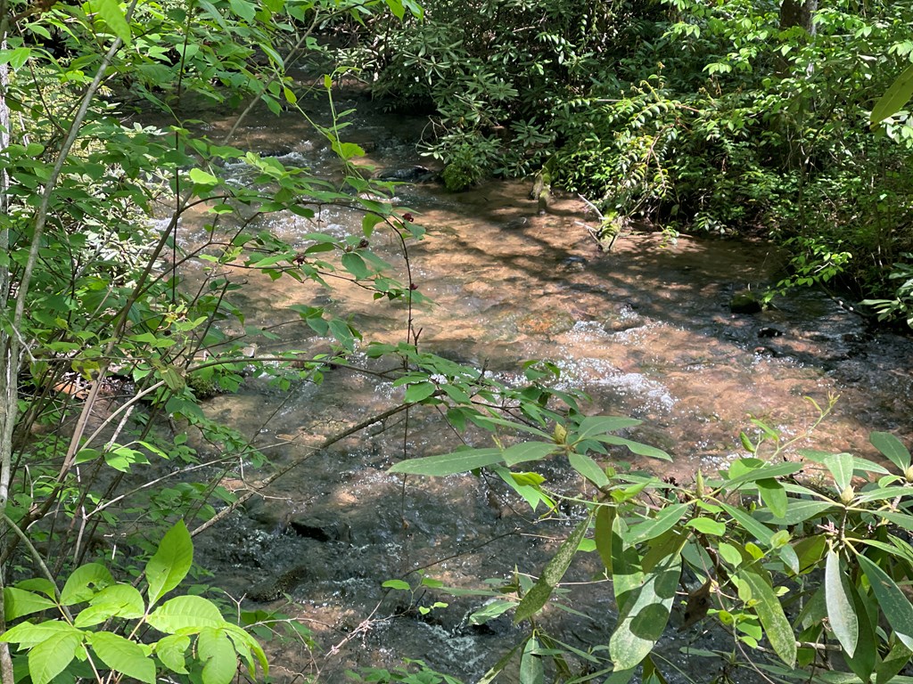 155 Cedar Cliff Lane