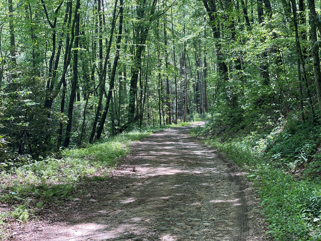 155 Cedar Cliff Lane