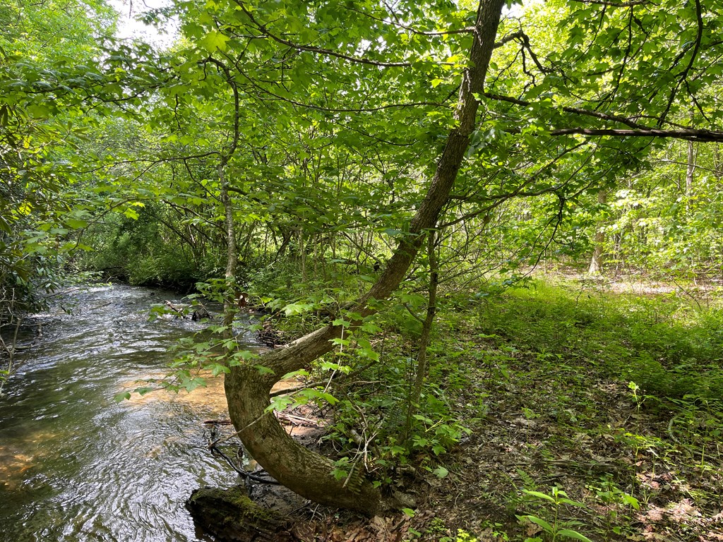 155 Cedar Cliff Lane