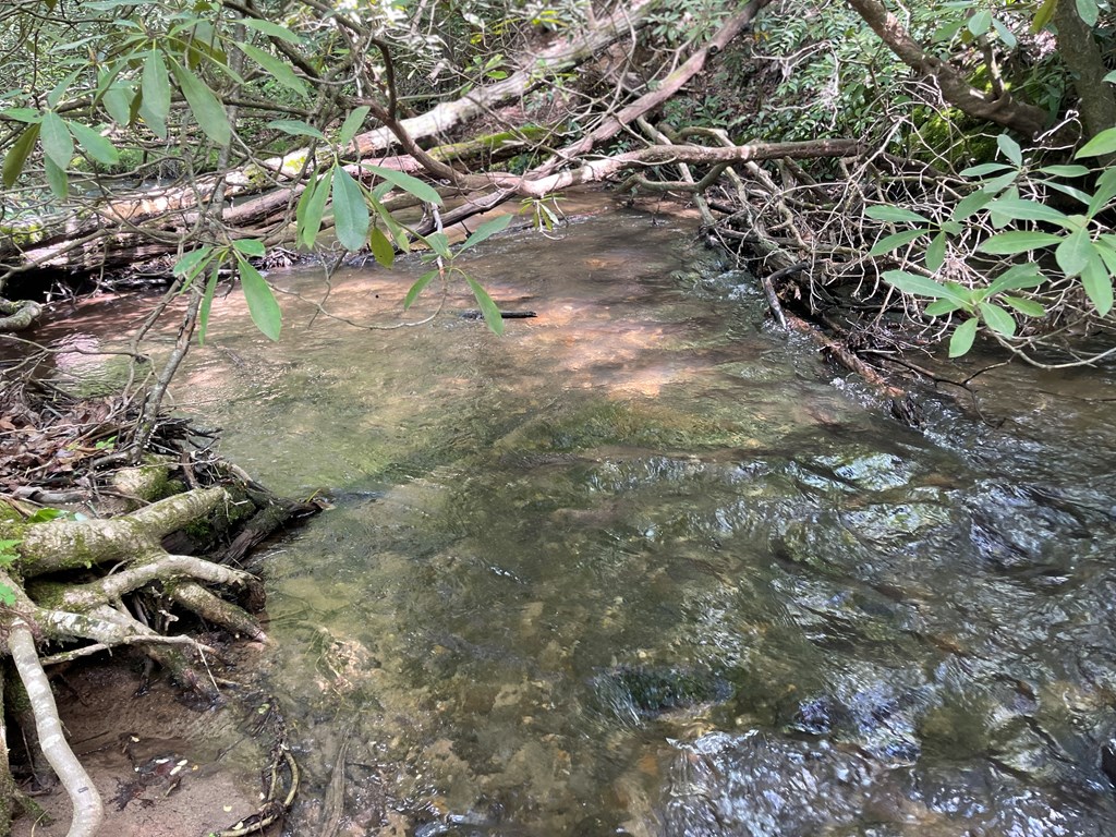 155 Cedar Cliff Lane