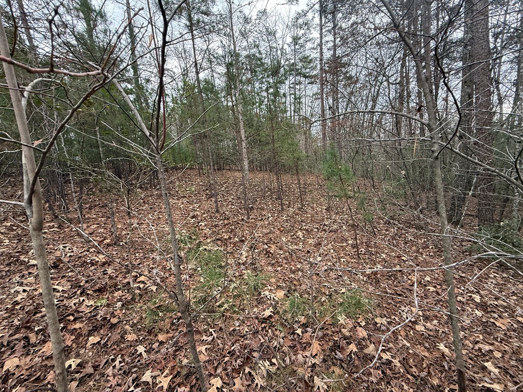 0 Kestrel Ridge Circle