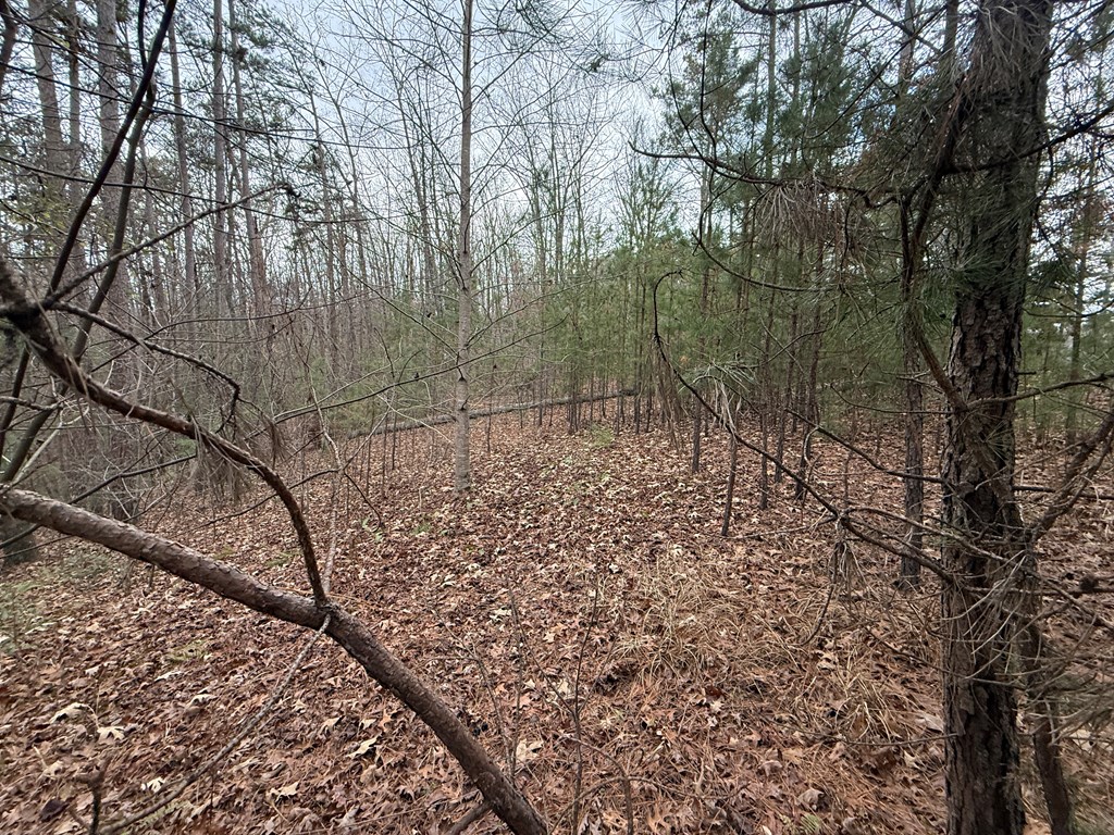 0 Kestrel Ridge Circle