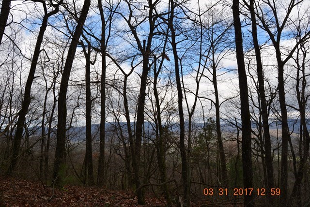 3530 Grape Creek Road