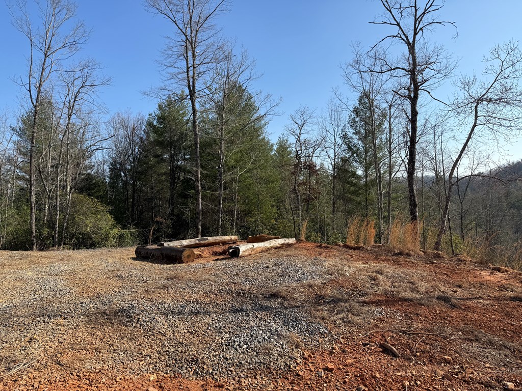 3530 Grape Creek Road