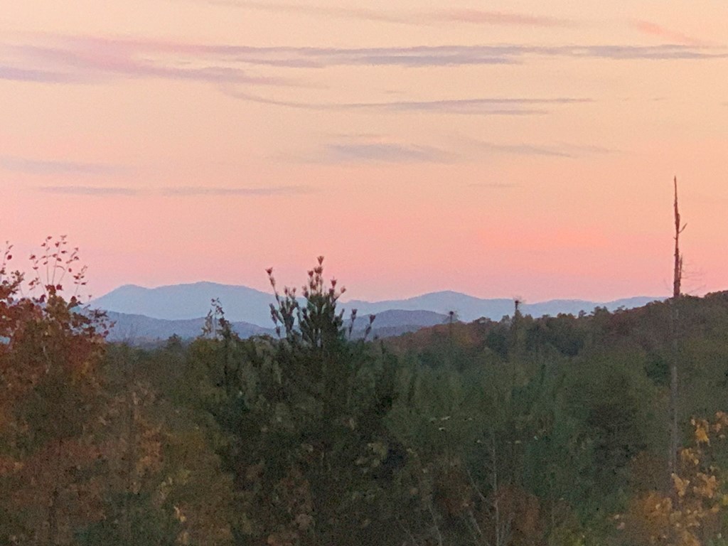 3530 Grape Creek Road