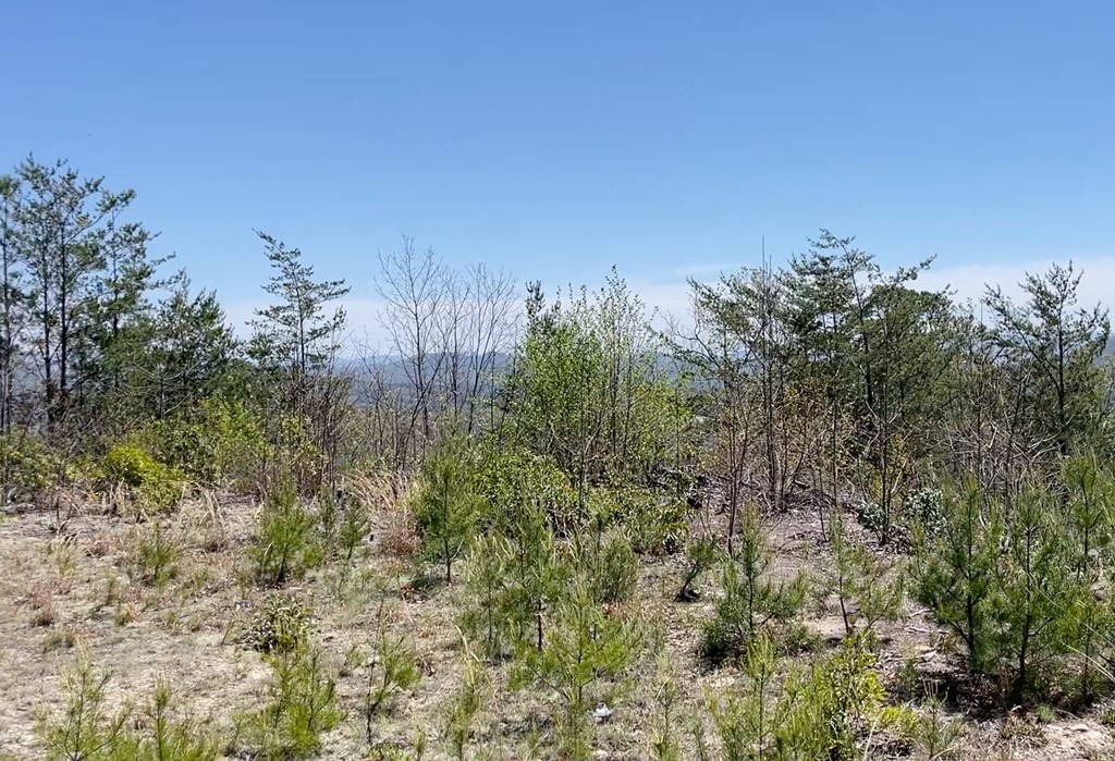 0 Sunrise Mountain Estates