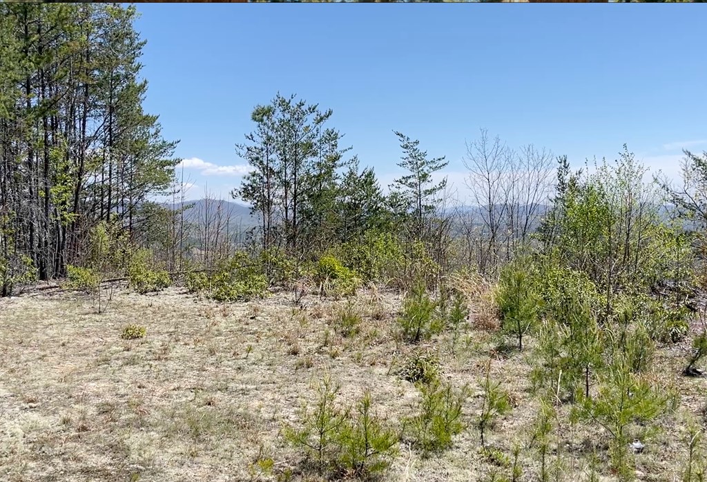 0 Sunrise Mountain Estates