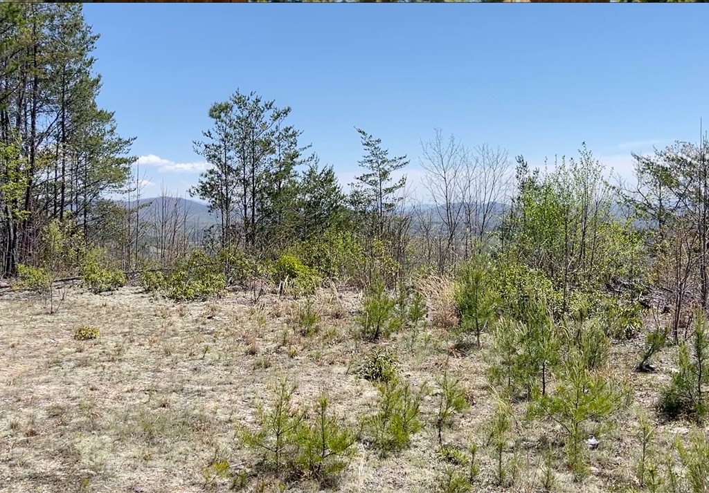 0 Sunrise Mountain Estates