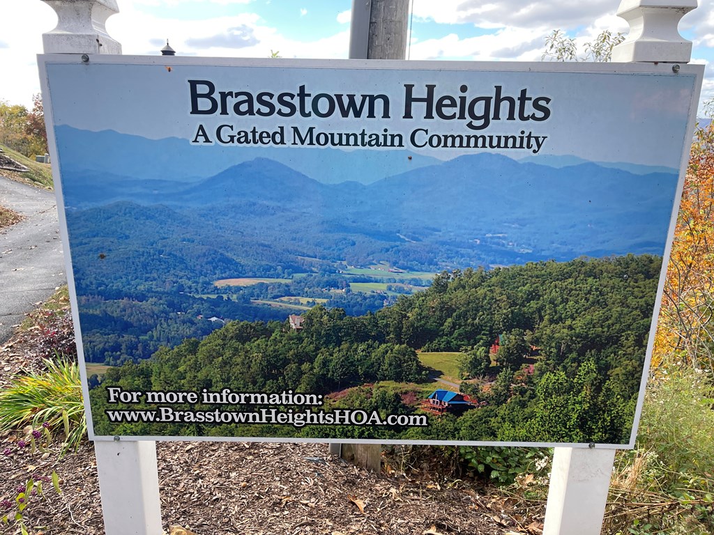 0 Brasstown Heights
