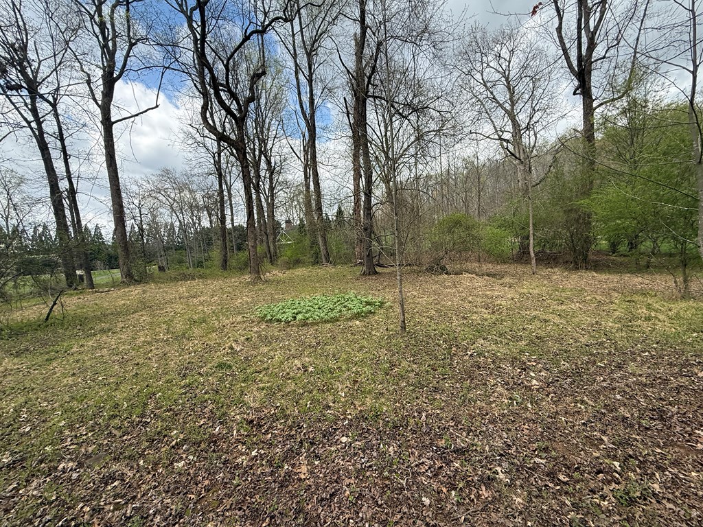 0 Cypress Pointe