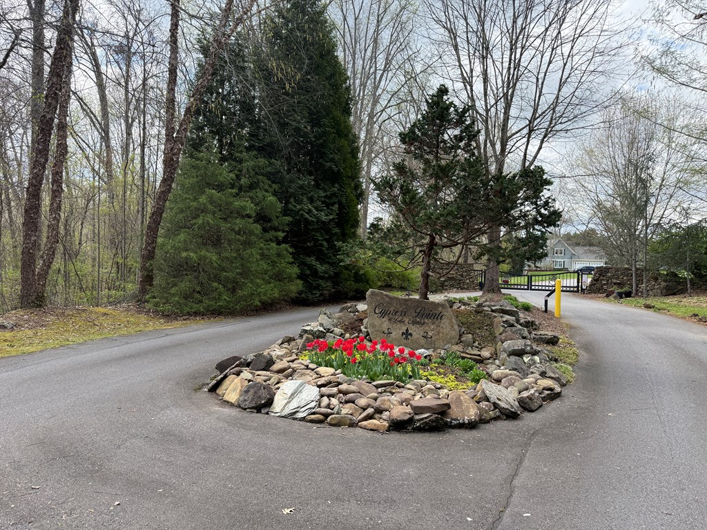 0 Cypress Pointe