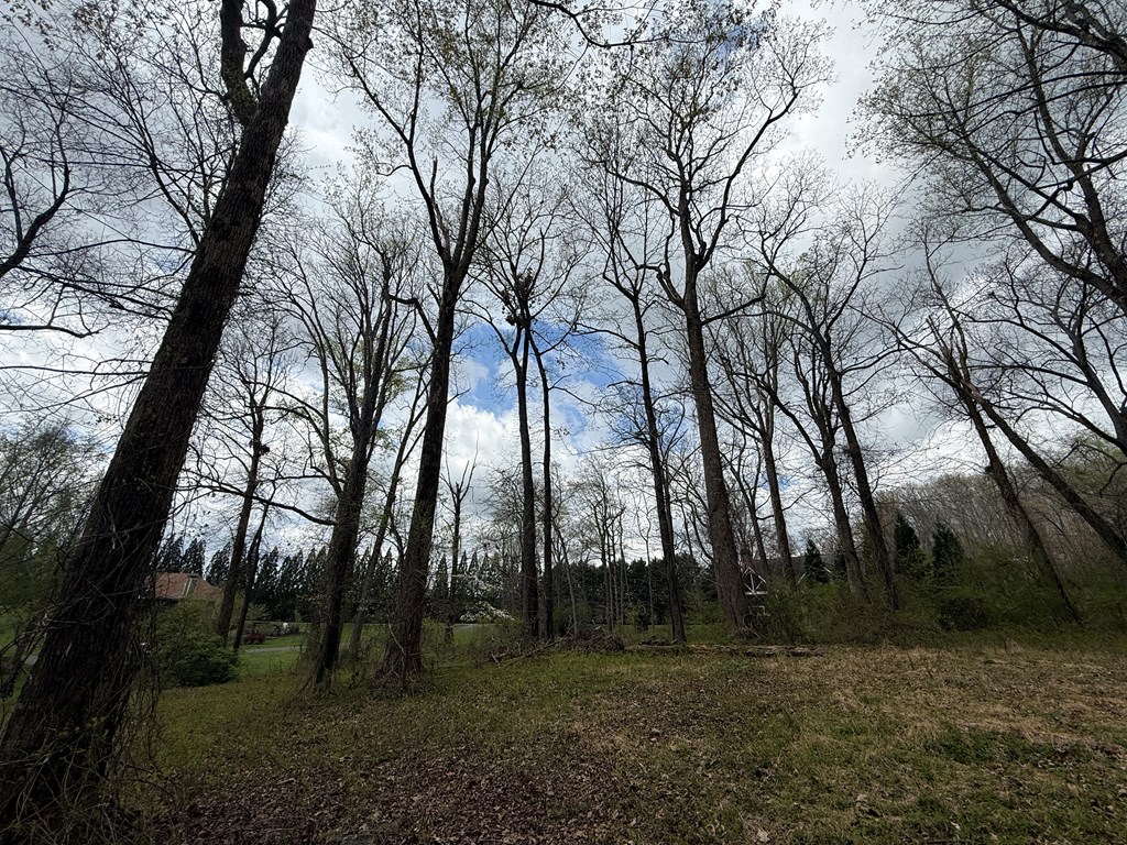 0 Cypress Pointe