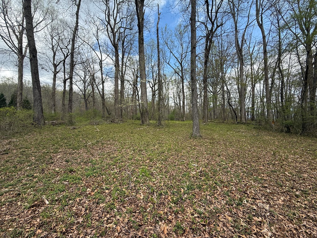 0 Cypress Pointe