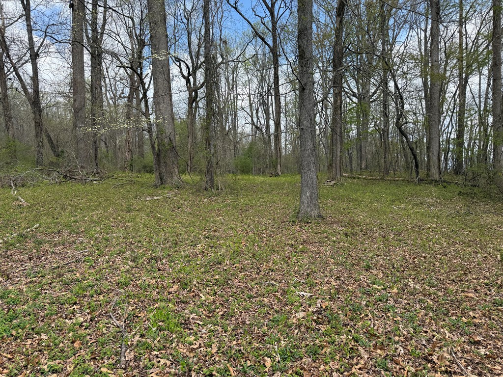 0 Cypress Pointe
