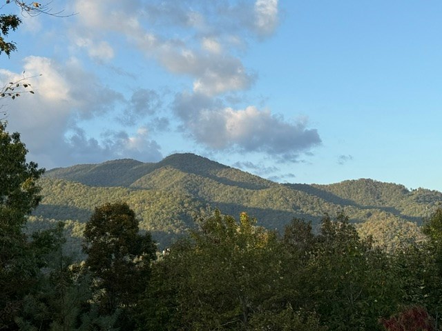 0 Tusquittee Road