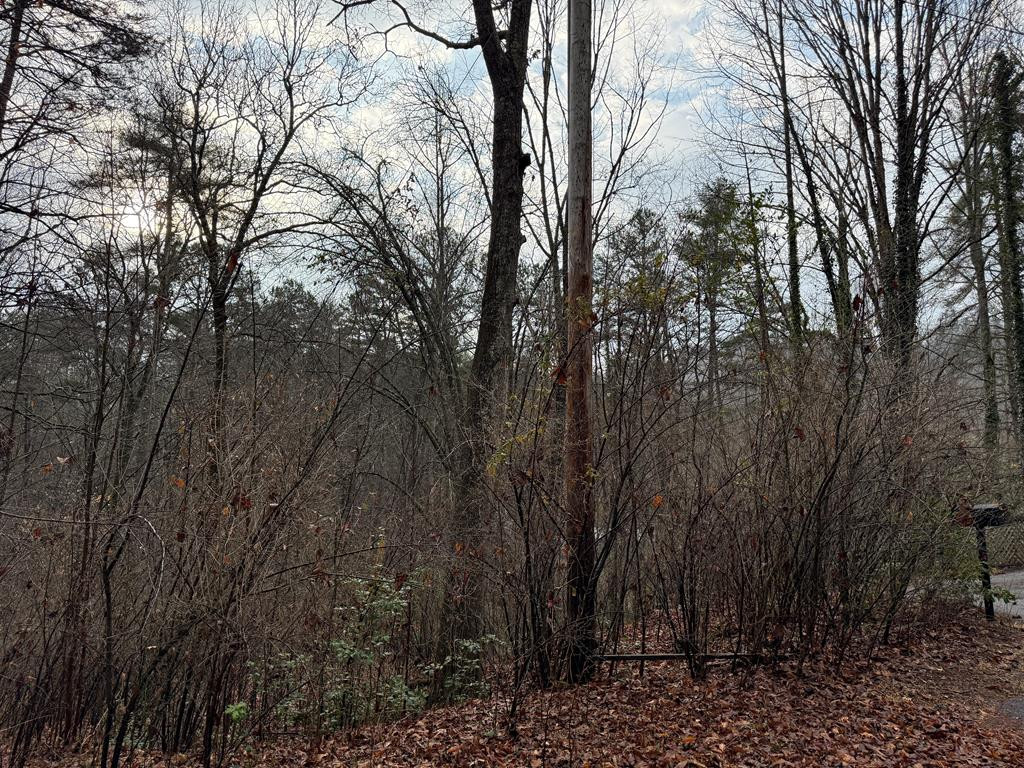 0 Trillium Trail