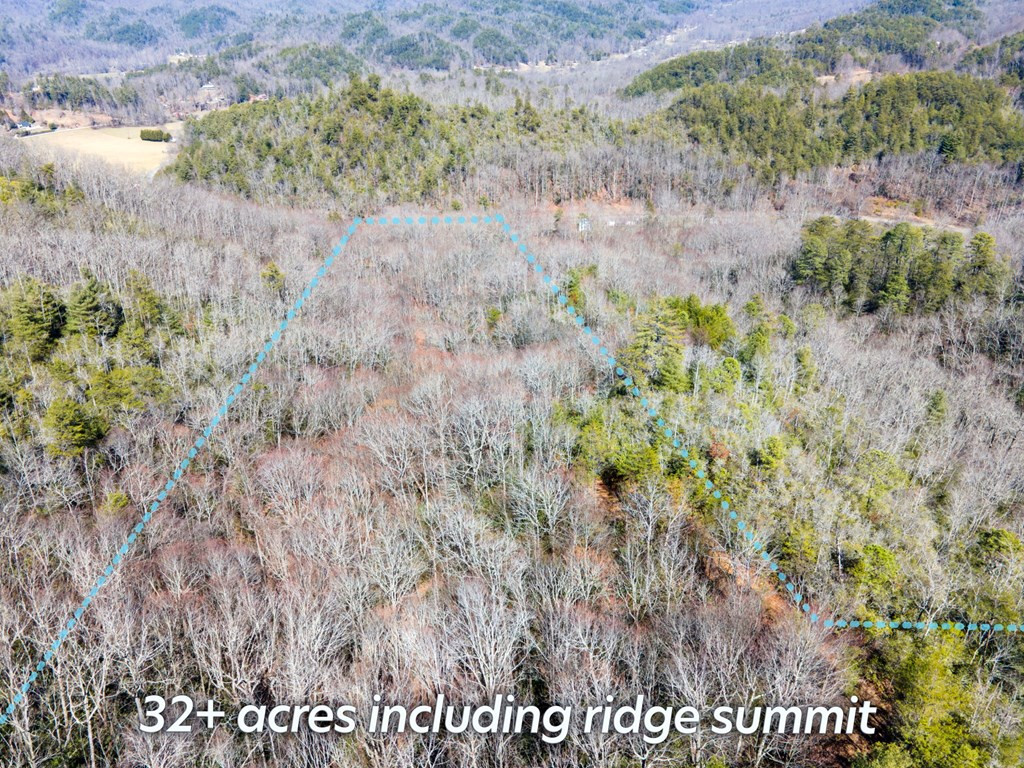 1316 Junaluska Road