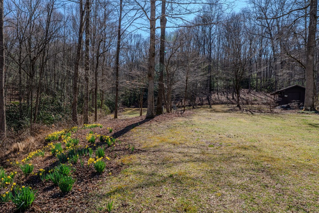 1316 Junaluska Road